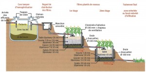 assainissement, éleveurs, FNSEA, FDSEA, phyoépuration